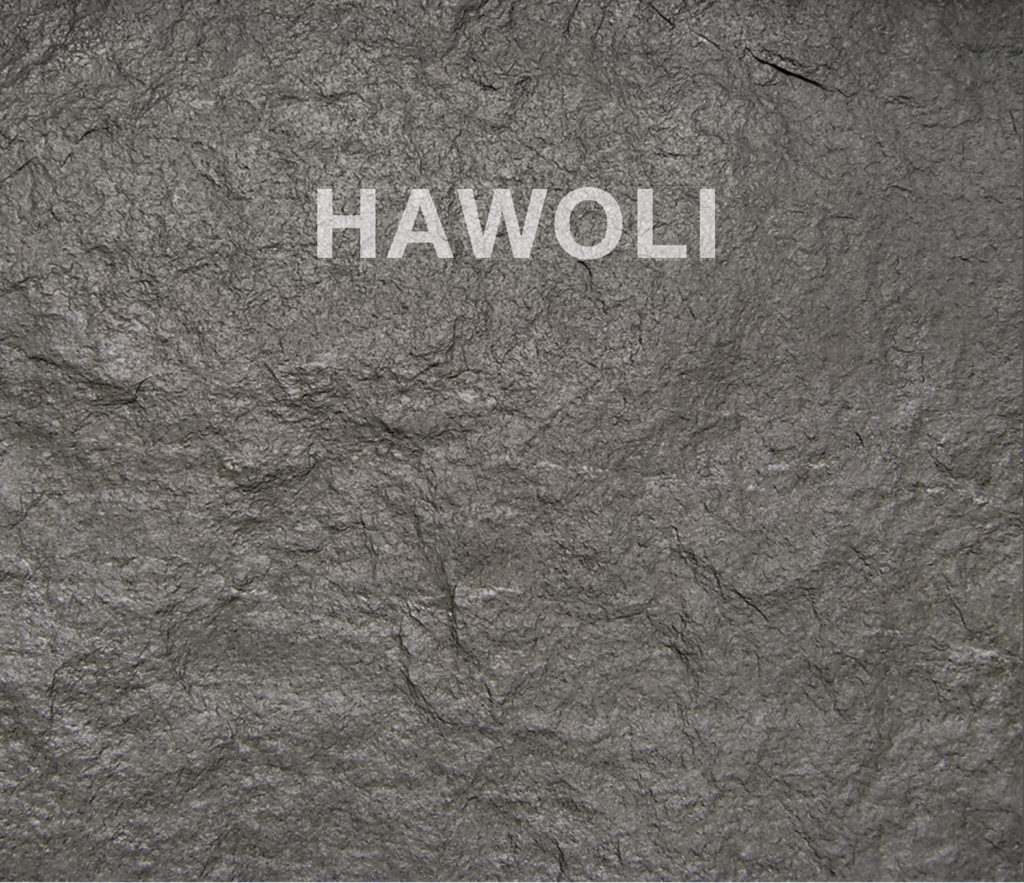 Umschlag_HAWOLI.indd