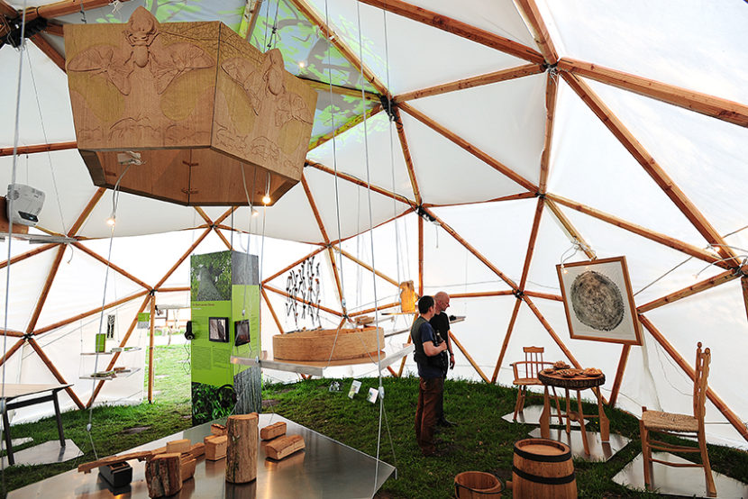 Projekt "Ein Baum aus der Göhrde" - feierliche Eröffnung mit Abschlussausstellung am Naturum in Göhrde